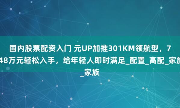 国内股票配资入门 元UP加推301KM领航型，7.48万元轻松入手，给年轻人即时满足_配置_高配_家族