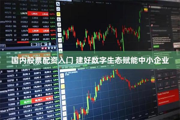 国内股票配资入门 建好数字生态赋能中小企业