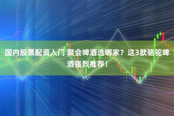 国内股票配资入门 聚会啤酒选哪家？这3款骆驼啤酒强烈推荐！